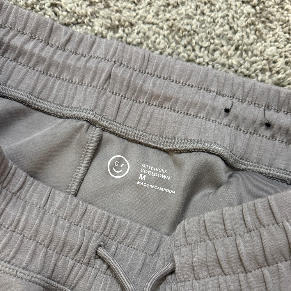 Gilly Hicks Wide Leg Pants in Taupe Gray